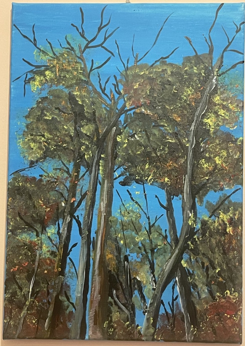 Pines Against the Sky